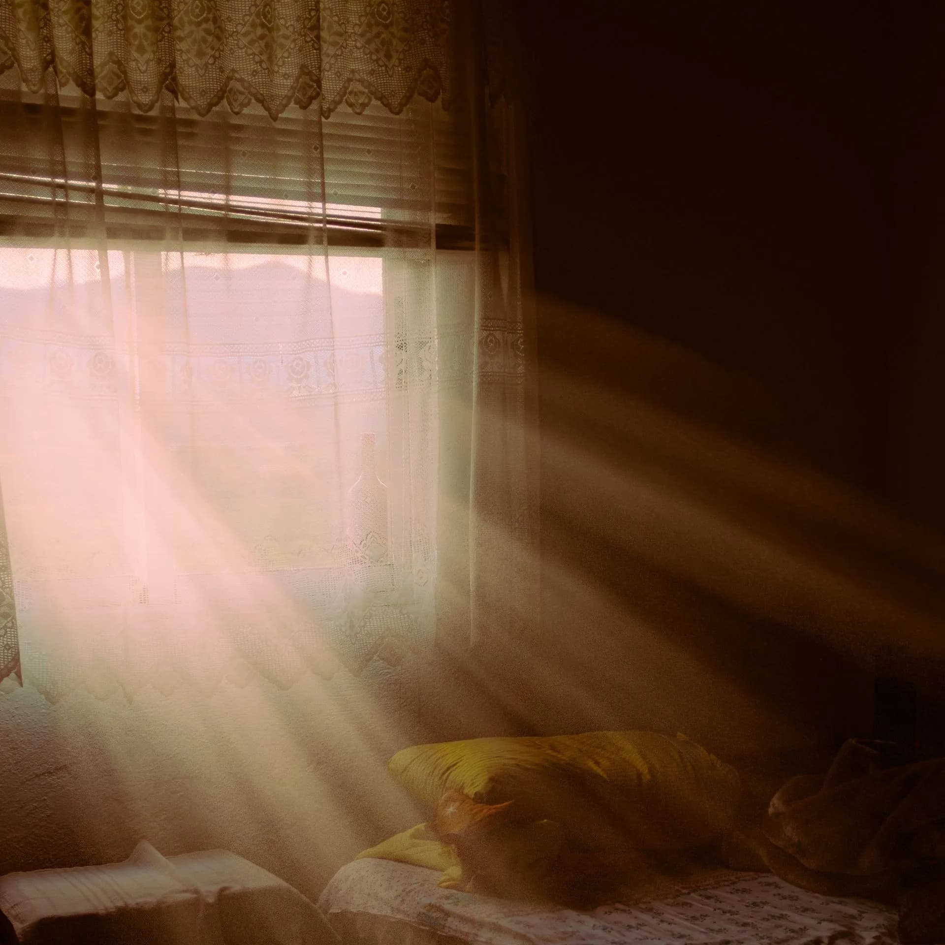 48. Formas de pensamiento