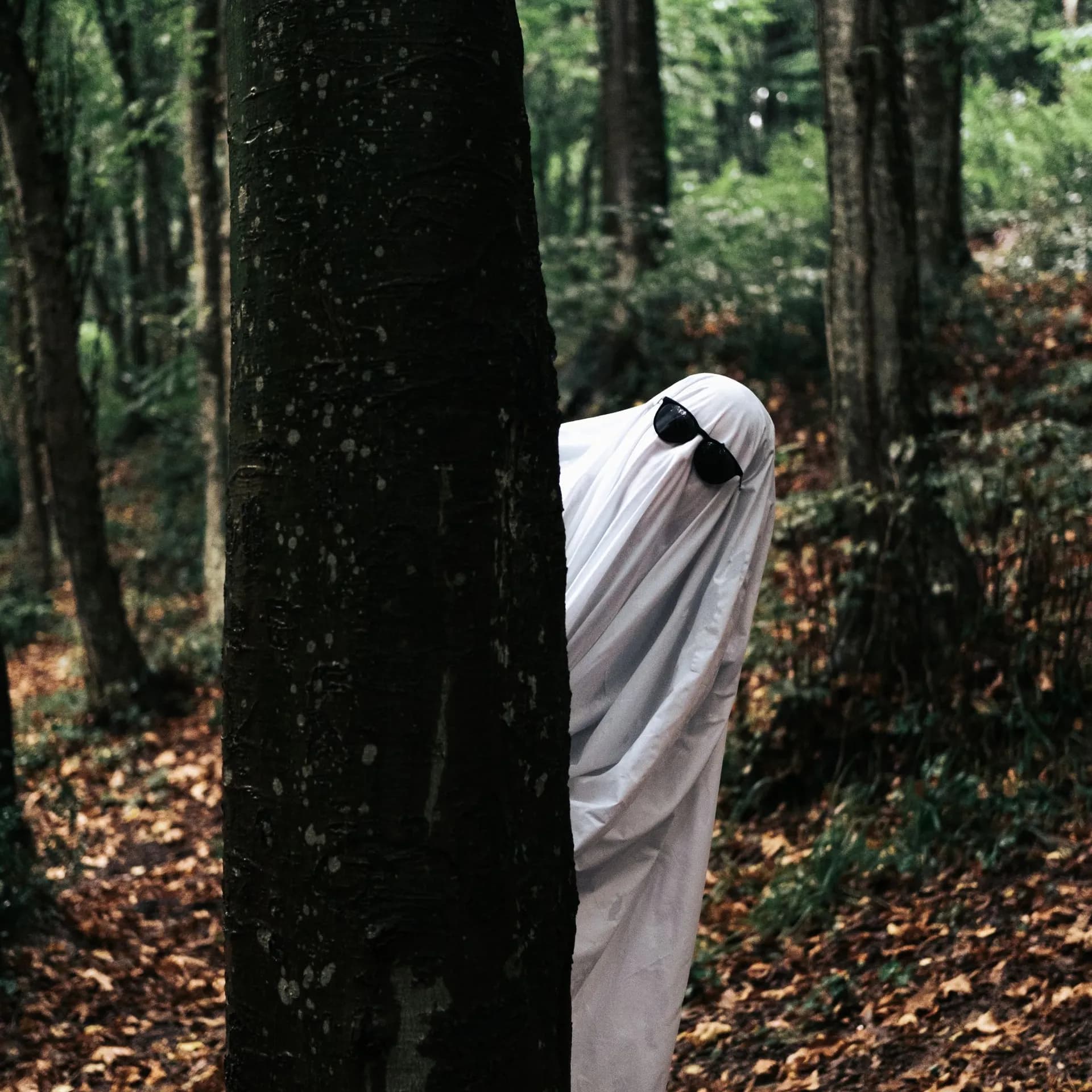 56. Los paranormales